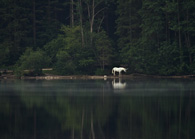 Katharina Gruzei: AS A MATTER OF DESIRE